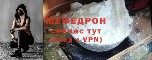 индика Богородицк