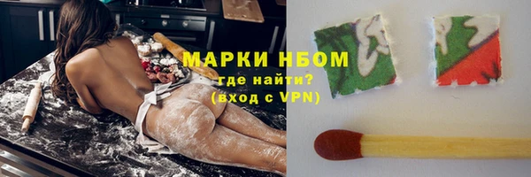 индика Богородицк