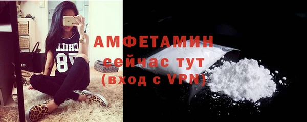 индика Богородицк