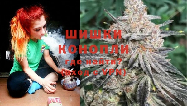 каннабис Беломорск
