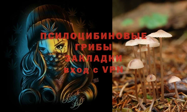 каннабис Беломорск