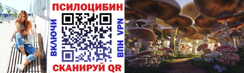 Псилоцибиновые грибы ЛСД  магазин    Малая Вишера 